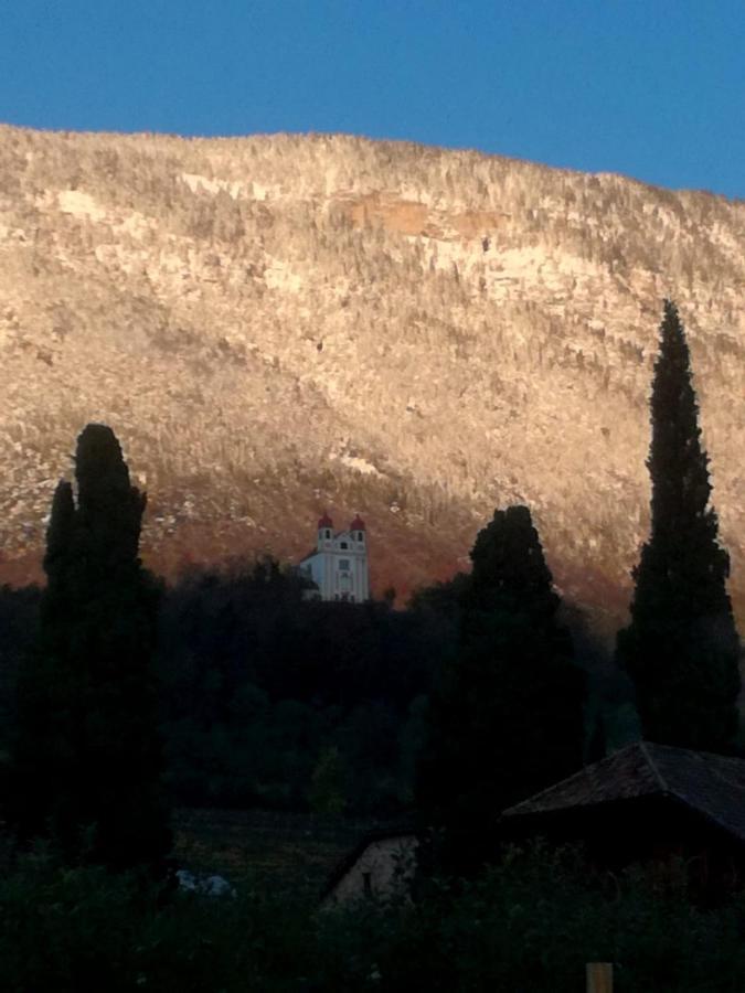 Ansitz Jenner Apartman Appiano Sulla Strada Del Vino Kültér fotó